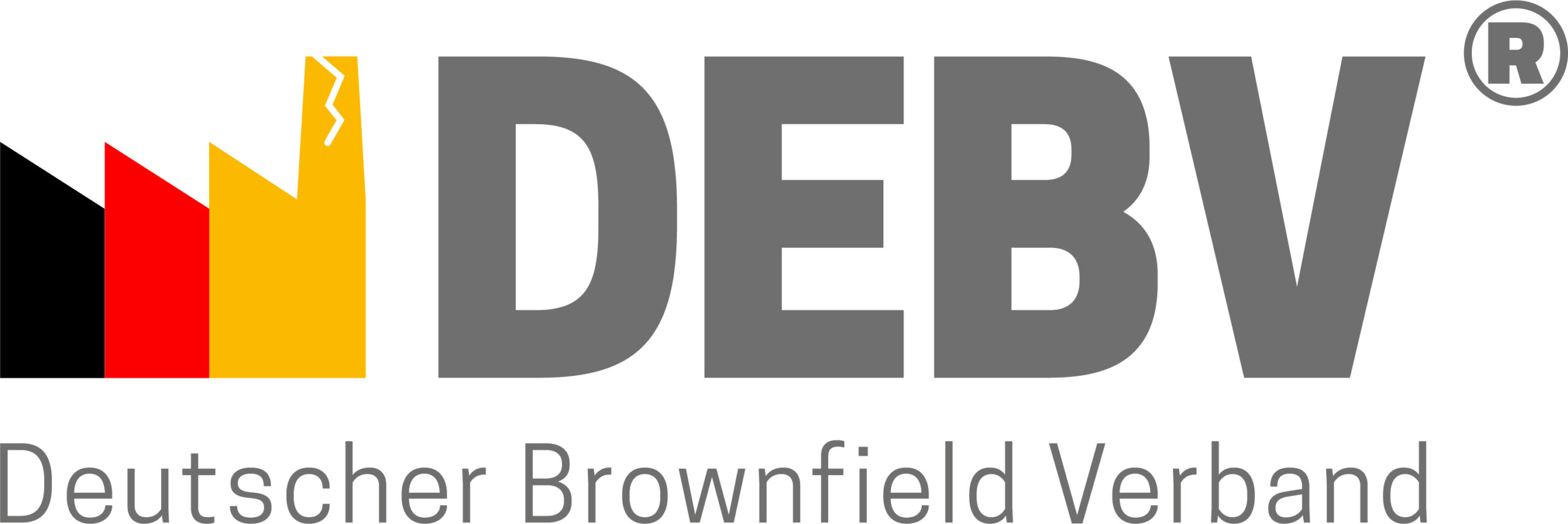 DEBV_logo